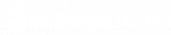 Enduro Fan